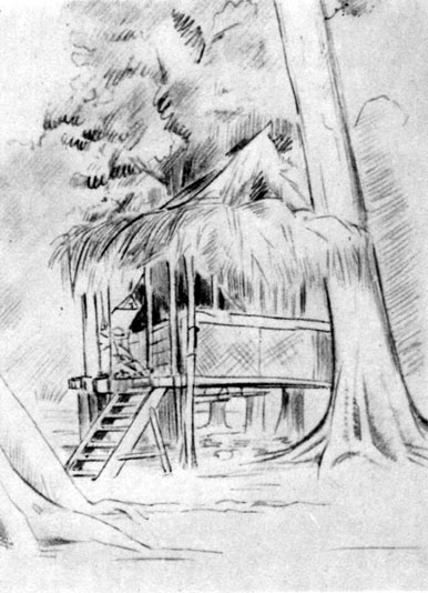 Хижина в Гарагасси, мыс Уединения. 1871 - 1872 годы. Рисунок Н. Н. Миклухо-Маклая