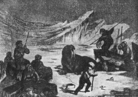 Эскимосы охотятся на моржей. Гравюра XIX века.