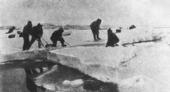 Отряд Б. Стайба в Северном Ледовитом океане. Из книги В. Staib 'Pa skidor mot Nordpolen'.